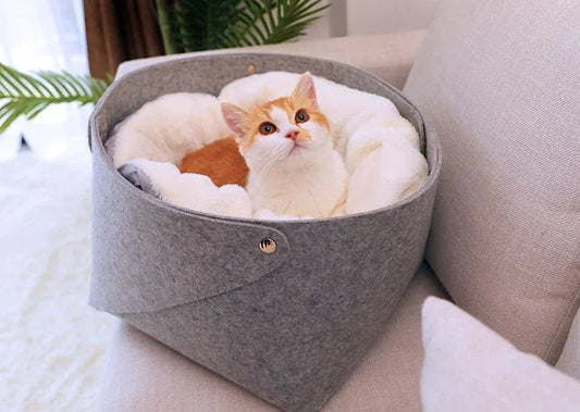 The Ultimate Guide to Choosing the Best Dog Beds for Your Furry Friend
