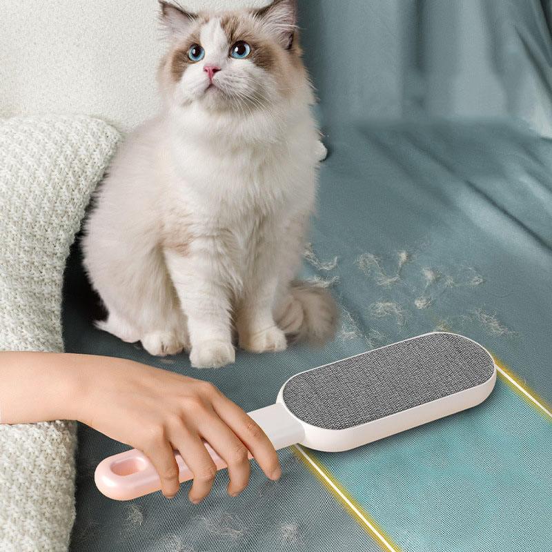 Cat hair removal tool in use on sofa with fluffy cat nearby, pet grooming essential