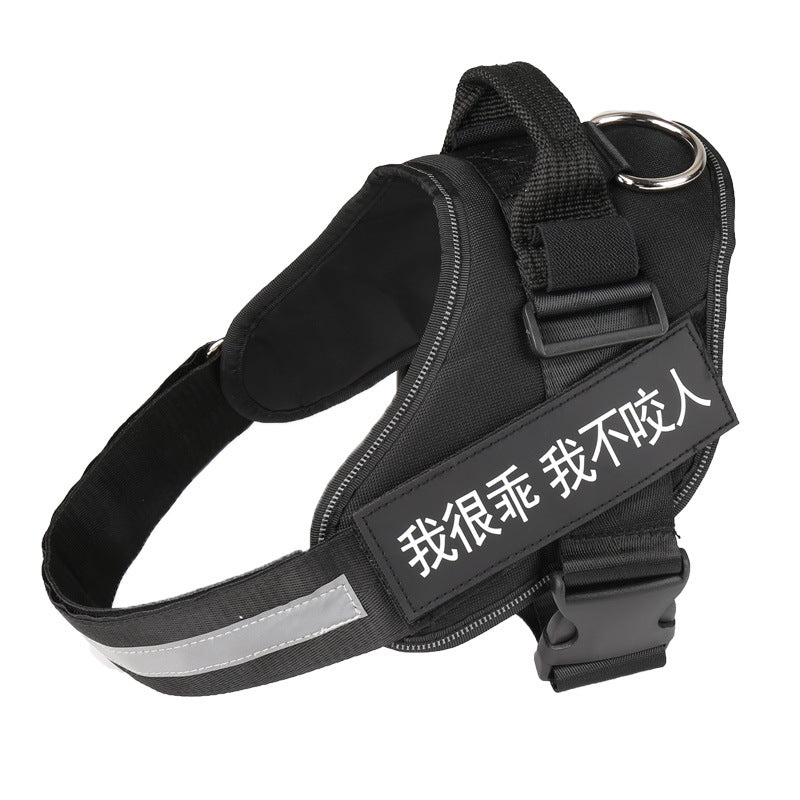 Nylon Pet Chest Harness with Leash — Adjustable No-Pull Harness for Dogs