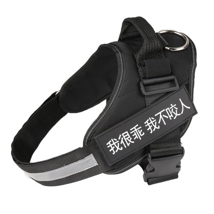 Nylon Pet Chest Harness with Leash — Adjustable No-Pull Harness for Dogs