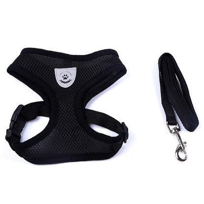 Adjustable Dog Car Seat Belt — Safety Leash Tether for Pets in Vehicles