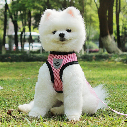 Adjustable Dog Car Seat Belt — Safety Leash Tether for Pets in Vehicles