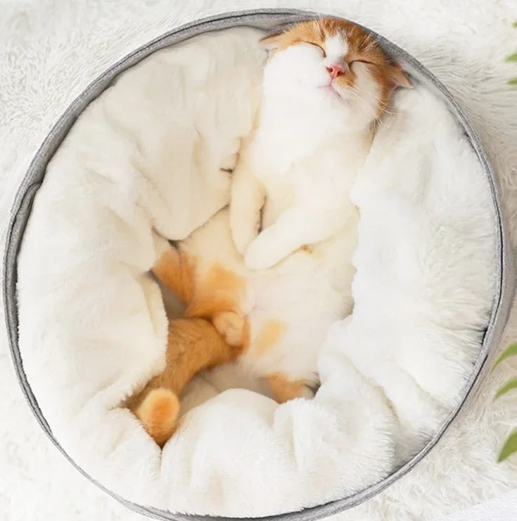 501813709692 - FurFree Living