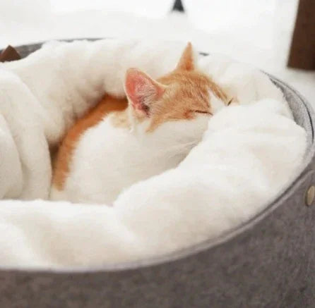 59458942933 - FurFree Living